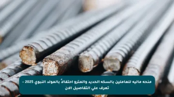 منحة مالية للعاملين بالسكة الحديد والمترو احتفالاً بالمولد النبوي 2025 – تعرف على التفاصيل الآن